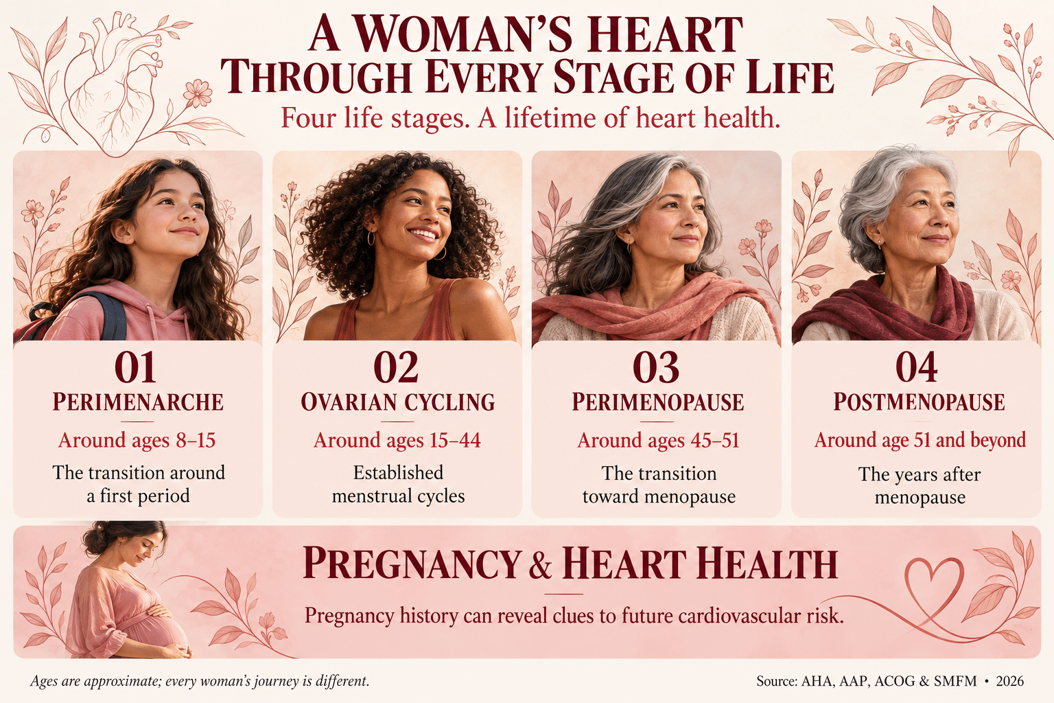 Graphic of the four female life stages for heart health: perimenarche, ovarian cycling, perimenopause and postmenopause, plus pregnancy and heart health